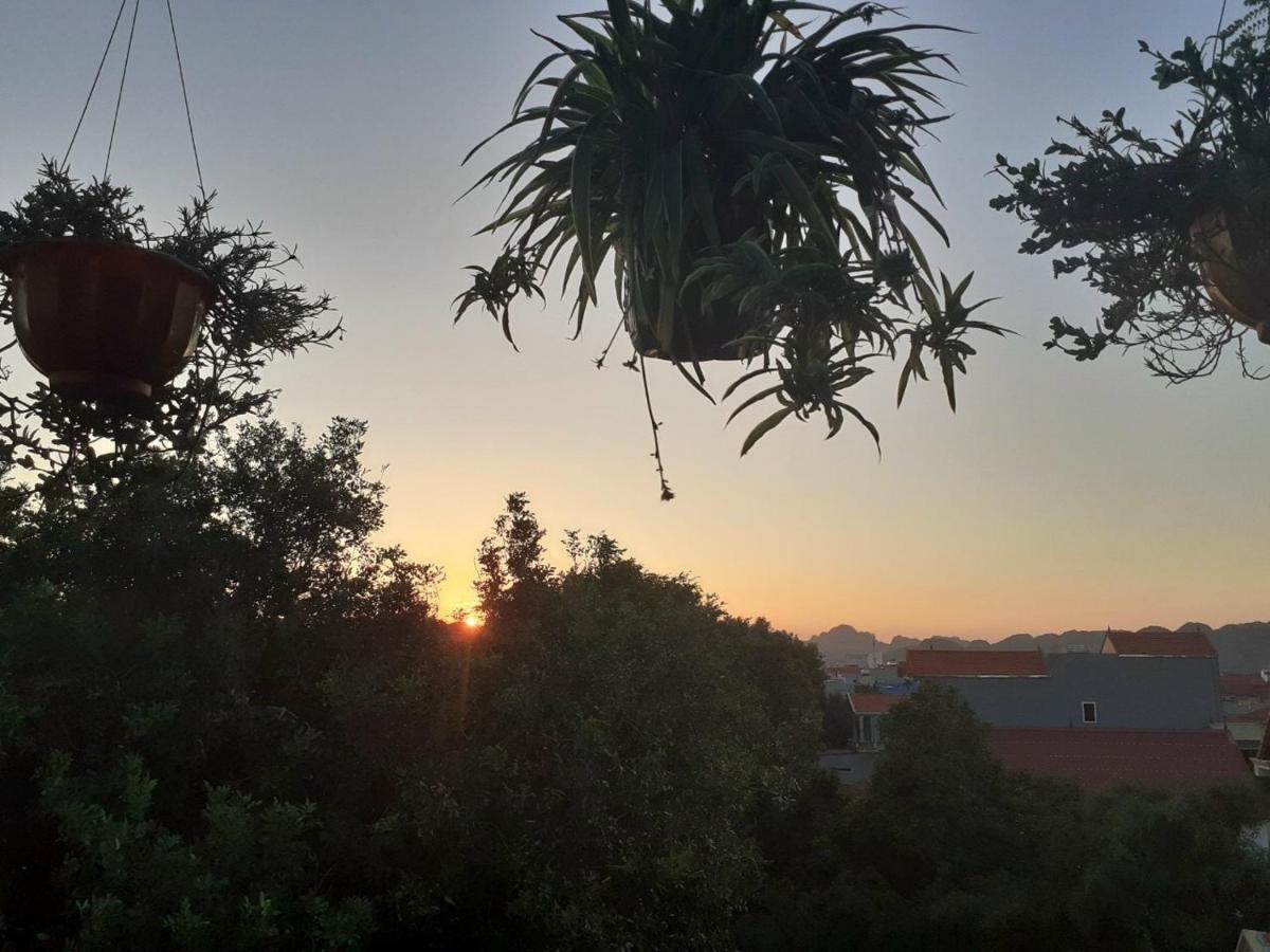 Tam Coc Sunset Homestay Ninh Binh Zewnętrze zdjęcie